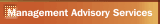 Management Advisory Services